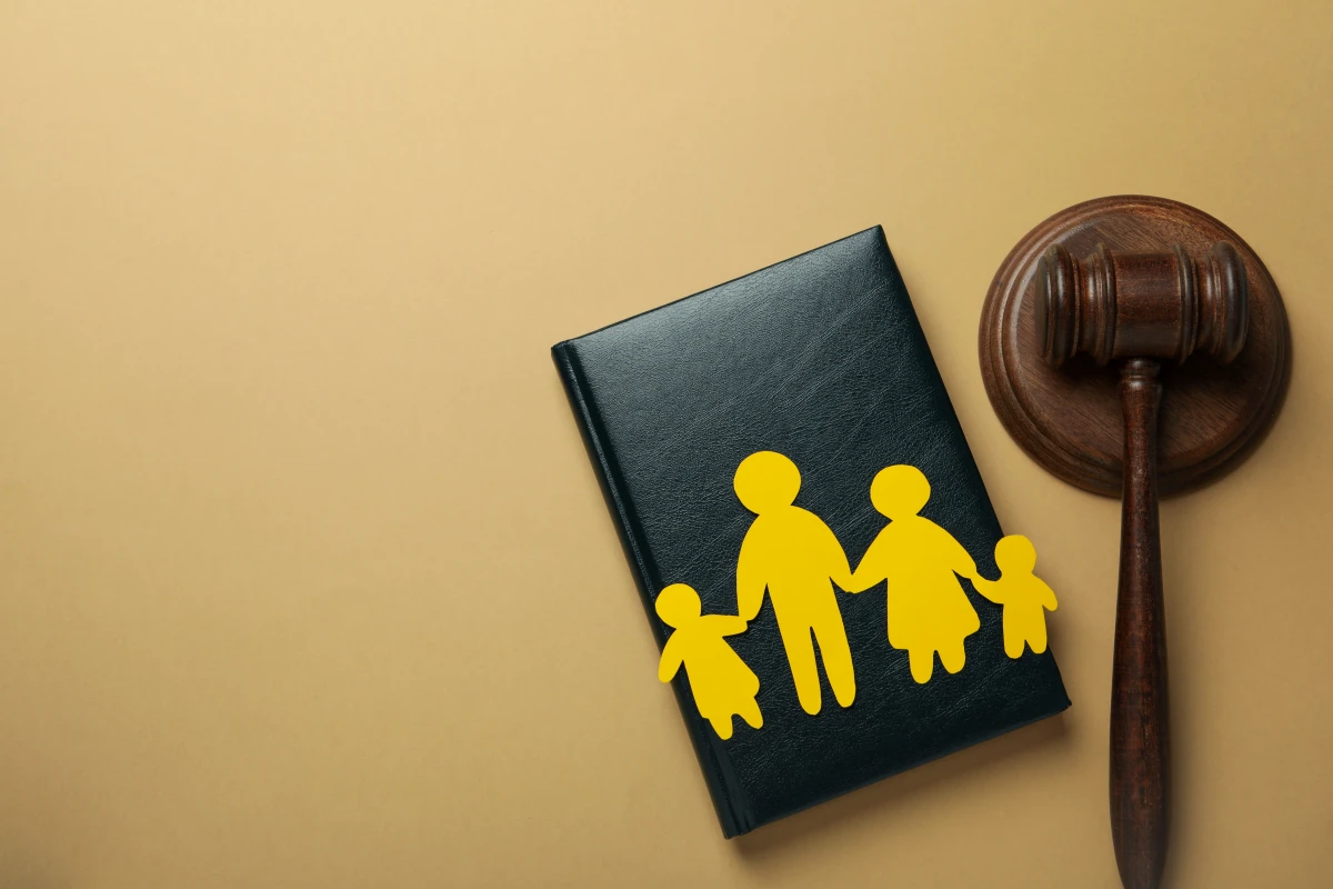 L’avocat en droit de la famille : paternité